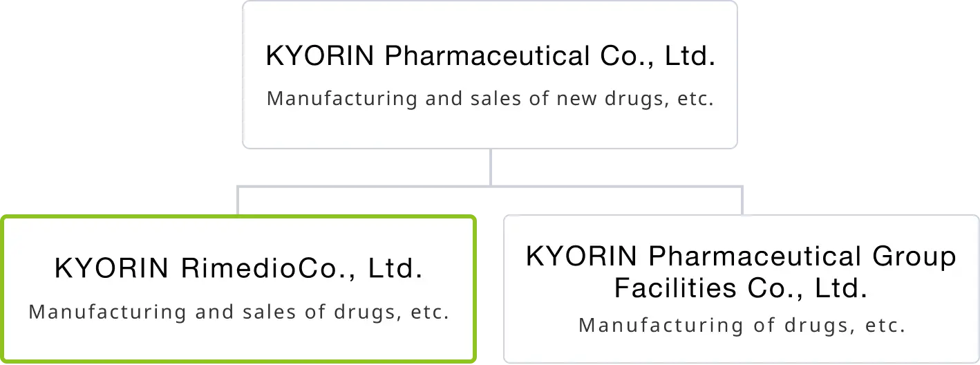 Group Company Diagram